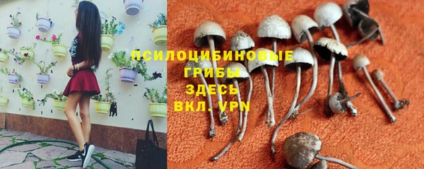 кристаллы Алексеевка