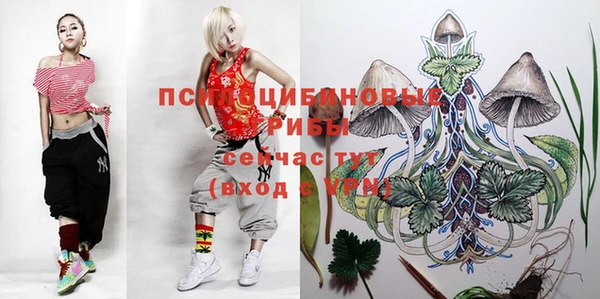 кристаллы Алексеевка