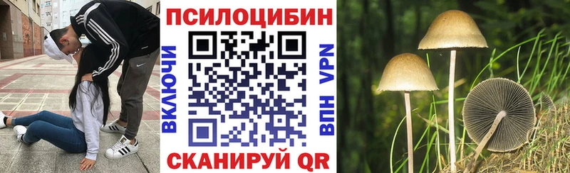 купить  цена  Аргун  Псилоцибиновые грибы прущие грибы 