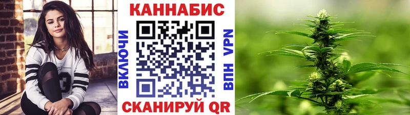 Канабис OG Kush  Аргун 